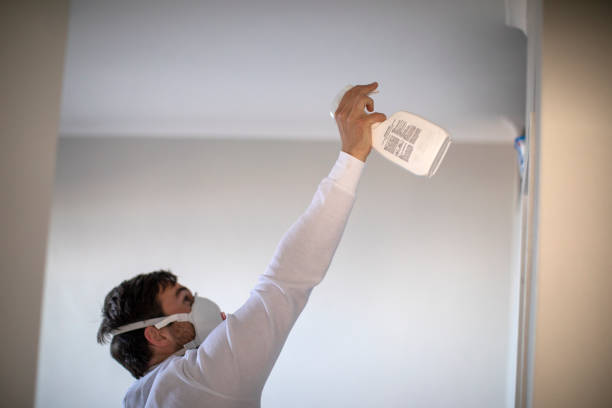 Attic Mold Removal in Ishpeming, MI